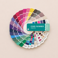 Color Palette Swatch - personal color fan