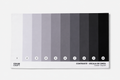 Grayscale Contrast Personal Drape